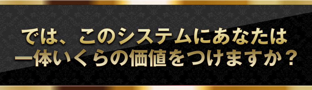 では、このシステムにあなたは 
一体いくらの価値をつけますか？
